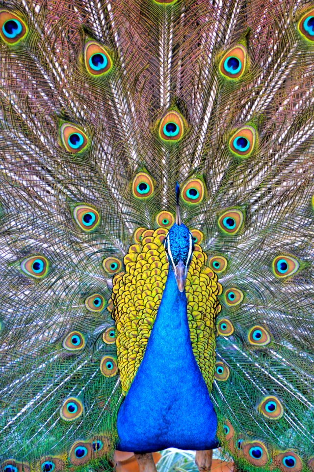 Blue green pattern