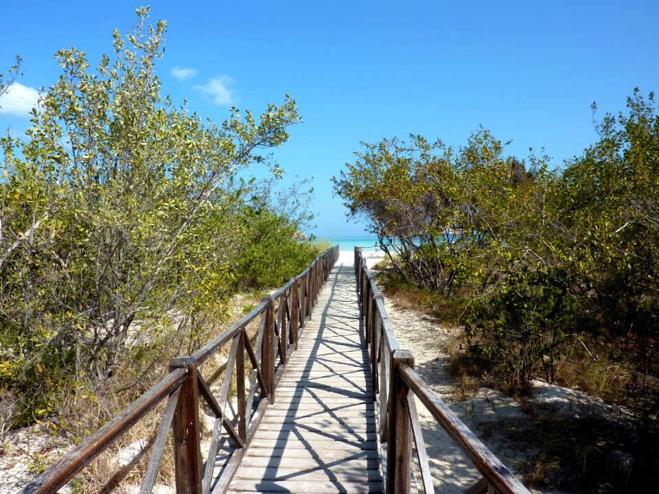 Caribbean summer web