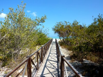 Caribbean summer web