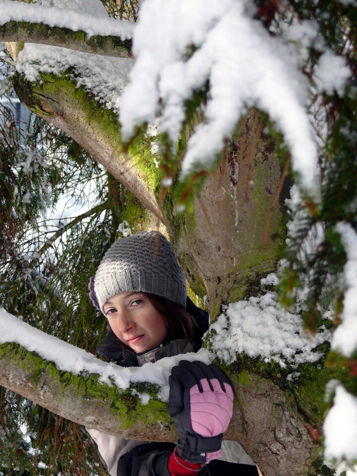 Shrub fir forest