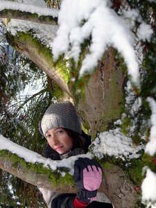 Shrub fir forest