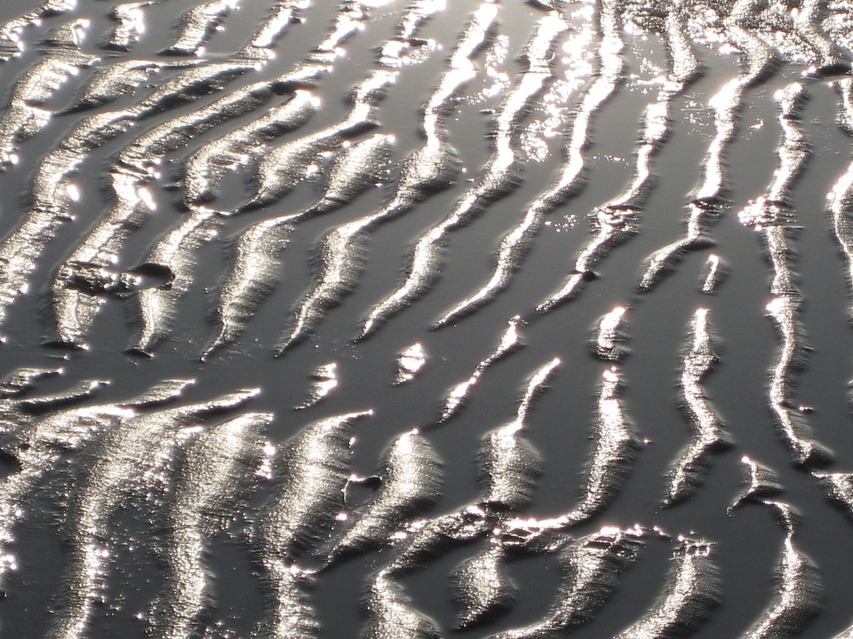 Sea wadden sea water grooves