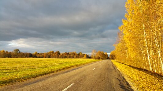 Road season yellow photo