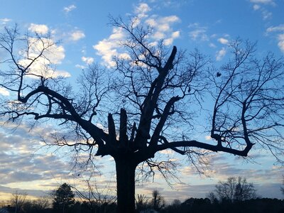 Blue winter sunny photo