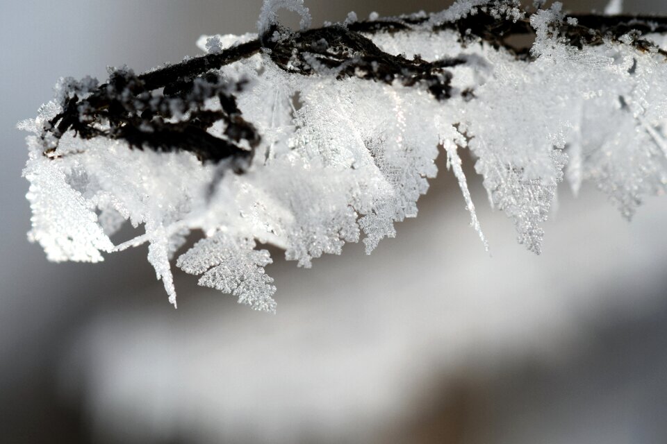 Ice winter magic cold