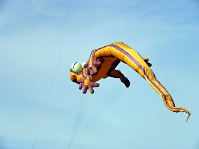 Lizard kite flying kite
