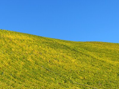 Nature golden october landscape