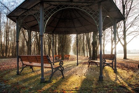 Rest linden nature
