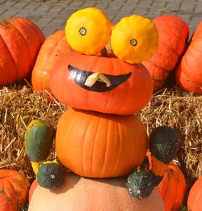 Decorative pumpkins autumn decoration autumn