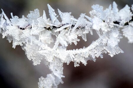 Ice winter magic cold