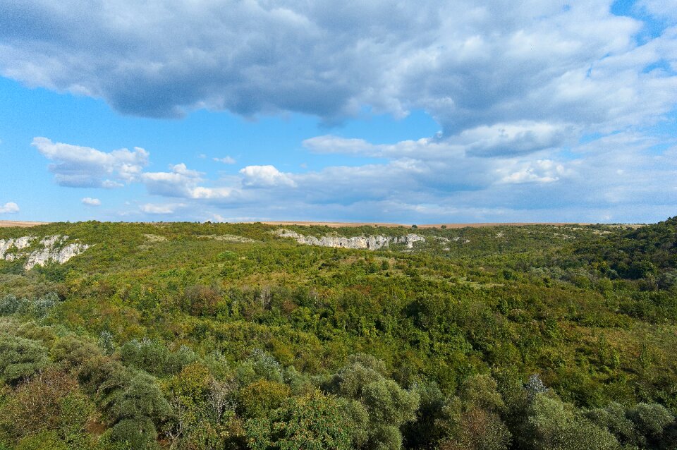 Ruse lom rocks forest