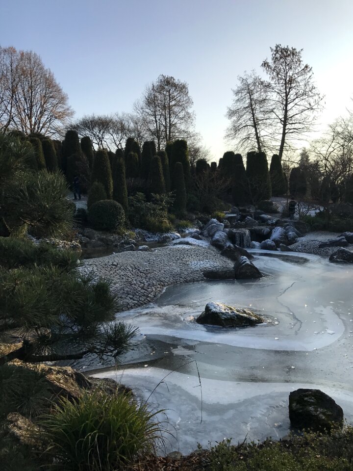 Garden japanese park
