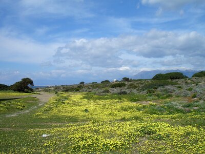 Yellow sand dunes beach