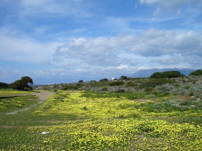 Yellow sand dunes beach photo