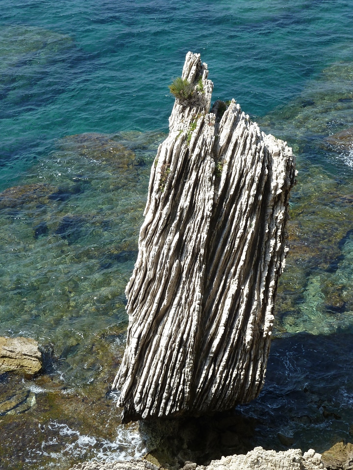 Rock sea coast