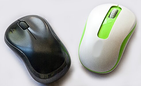 Wireless technology computer mouse photo