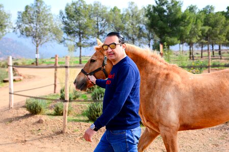 Countryside animals