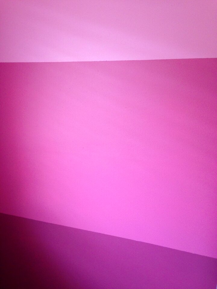 Room interior pink room