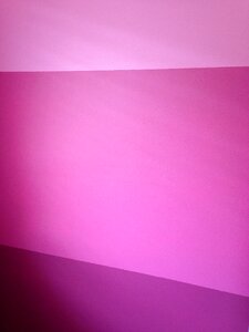 Room interior pink room
