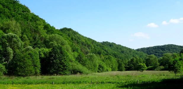 Valleys near cracow meadow green
