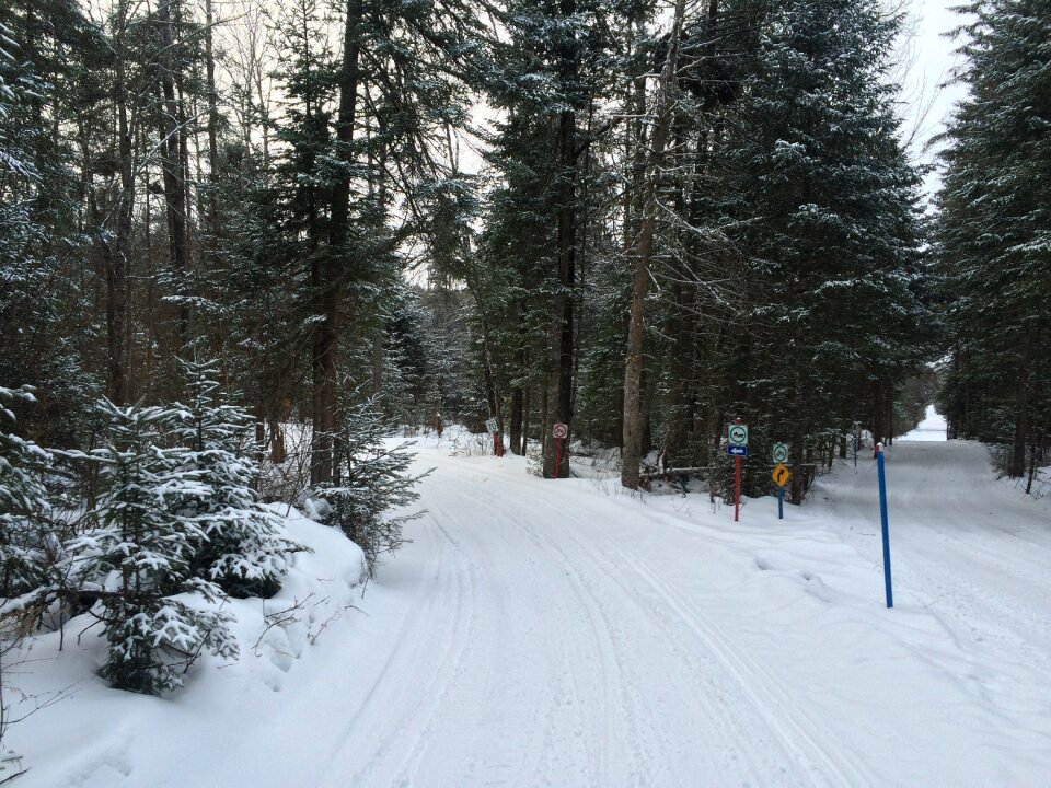 Winter landscape canada december