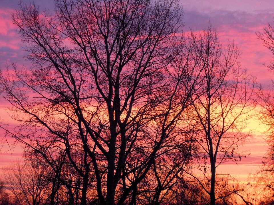 Dusk colors pink