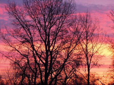 Dusk colors pink photo