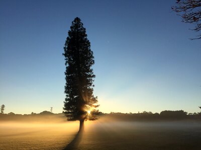 Sun sunrise sunrays photo