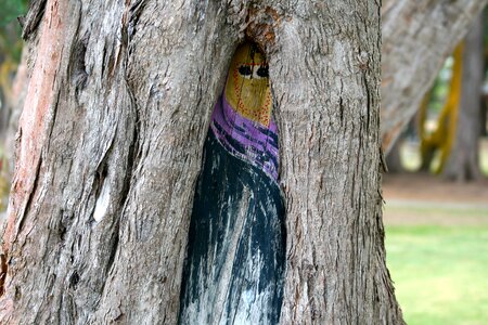 Nature artwork natural