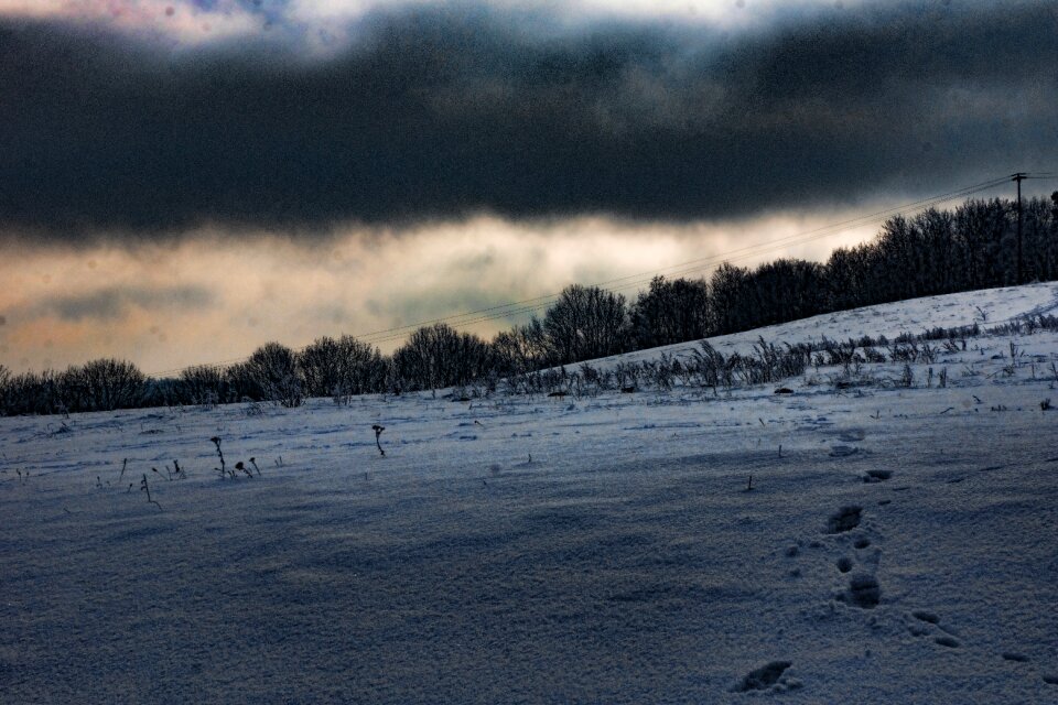 Ice cold hoarfrost photo