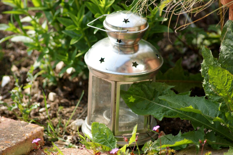 Lantern nature outdoor