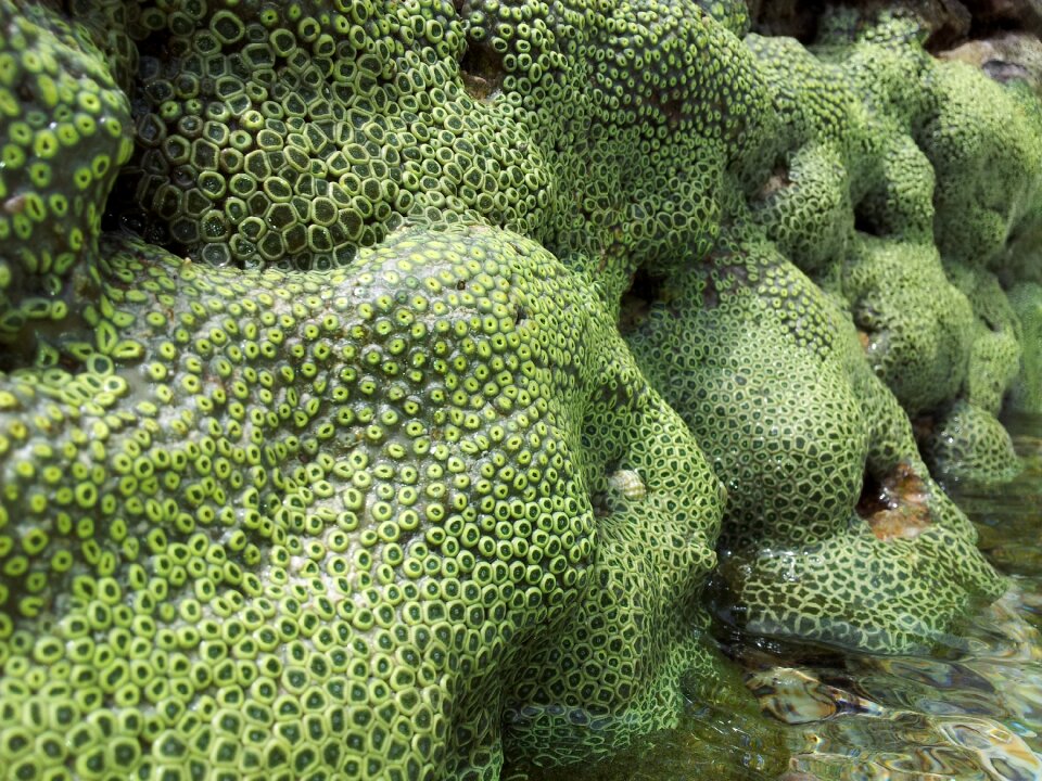 Stones water ocean