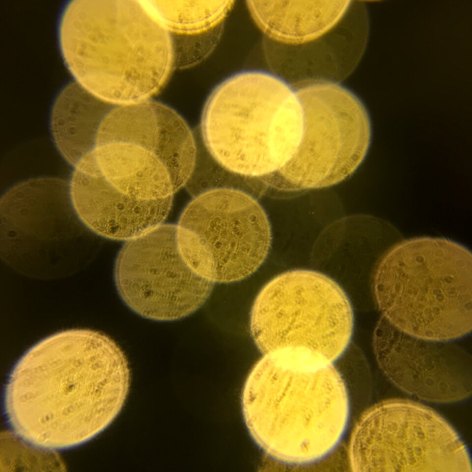 Closeup light chain yellow
