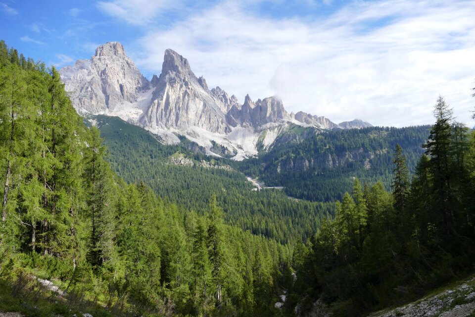 Italy nature green