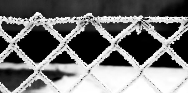 Grid frosty frost photo