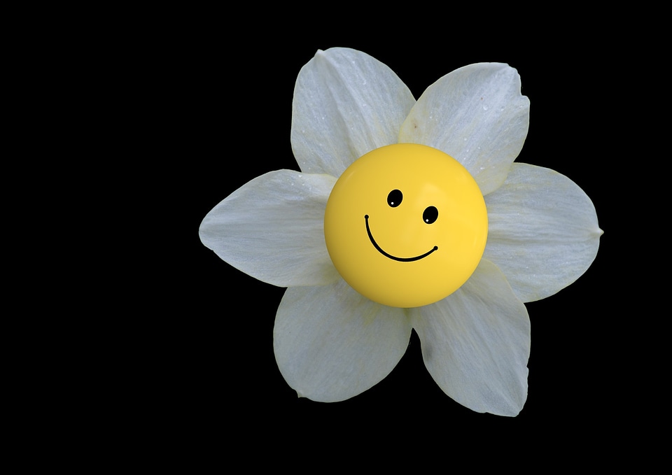 Smiley emoticon smile