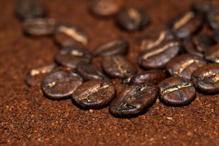 Drink benefit from coffee beans photo