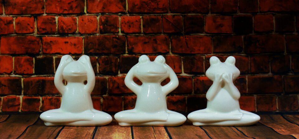 Frogs ceramic white