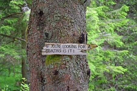 Sign signs hoax