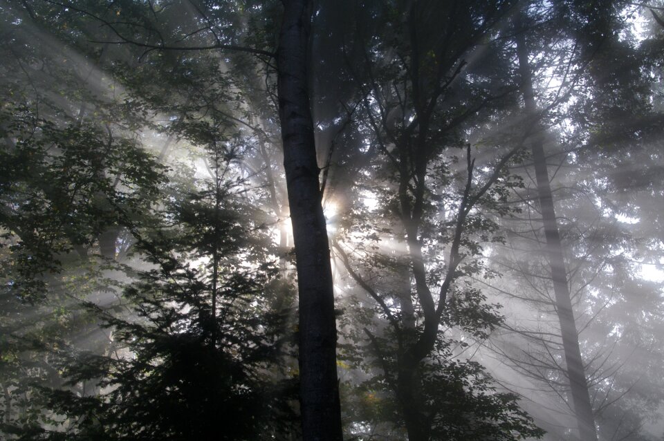 Light scenery mysterious