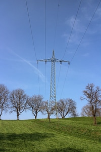 Power poles contrast trees photo