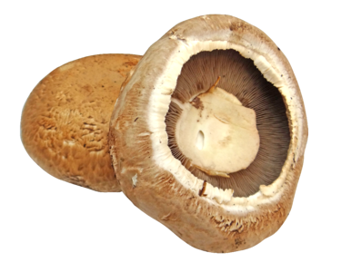 Portobella mushroom caps