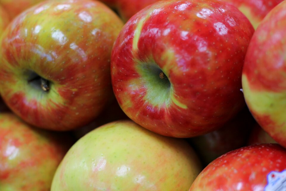 Fruit fresh
