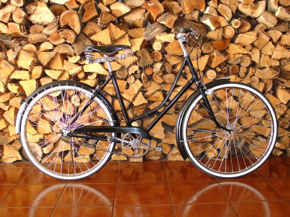 Transport pastry bike
