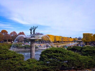Nature outdoor autumn