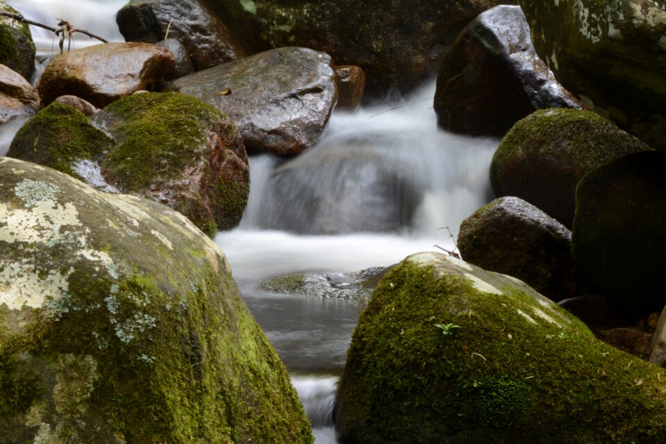 Water waterfall forest photo