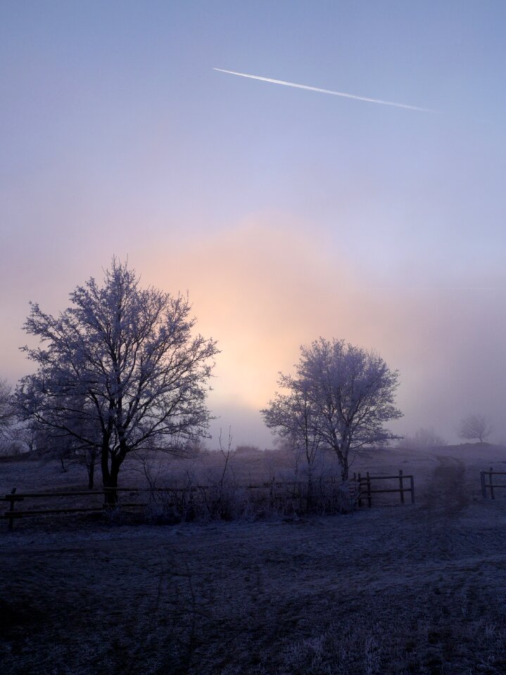 Icing snow sunset