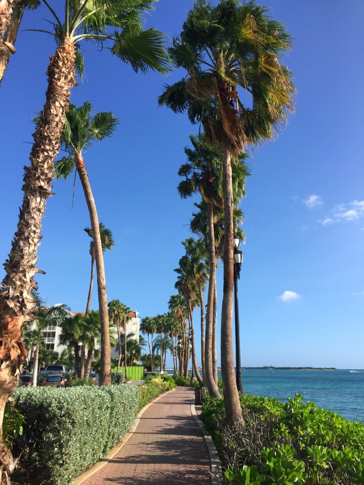 Beach caribbean