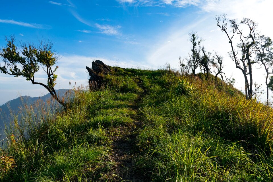 Land nature mountian