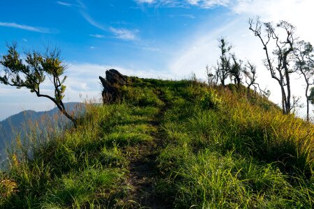 Land nature mountian